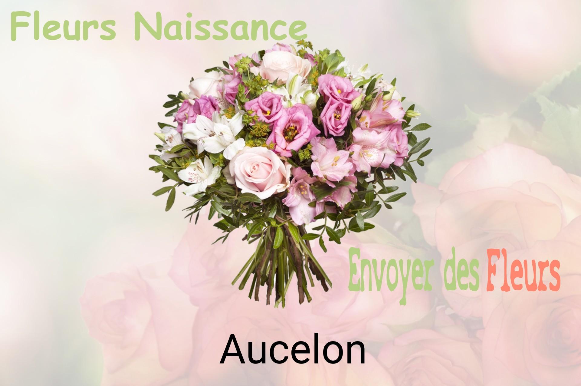 Bouquet de fleurs de naissance livré à Aucelon